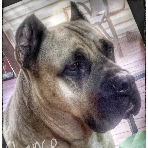 Meet Your Posher - Picture 7 of 10